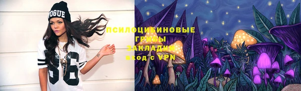 ГАЛЛЮЦИНОГЕННЫЕ ГРИБЫ Белокуриха