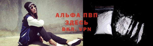 ГАЛЛЮЦИНОГЕННЫЕ ГРИБЫ Белокуриха