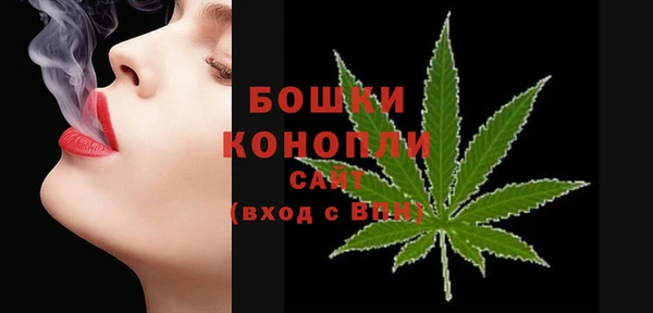 ГАЛЛЮЦИНОГЕННЫЕ ГРИБЫ Белокуриха