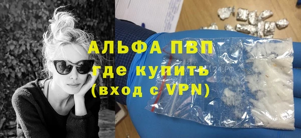ГАЛЛЮЦИНОГЕННЫЕ ГРИБЫ Белокуриха