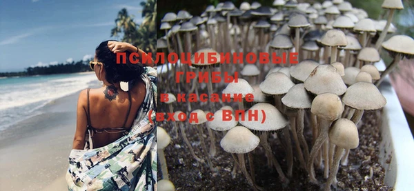 ГАЛЛЮЦИНОГЕННЫЕ ГРИБЫ Белокуриха