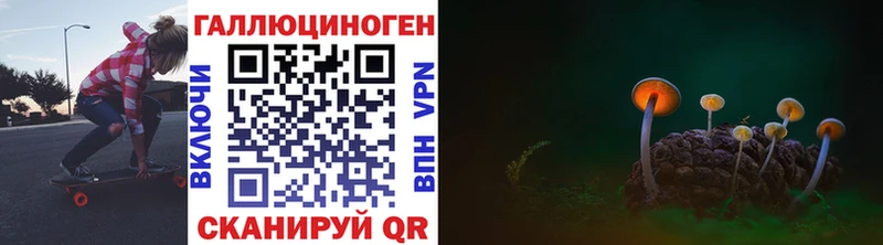 где найти   hydra онион  Псилоцибиновые грибы мухоморы  Белорецк 